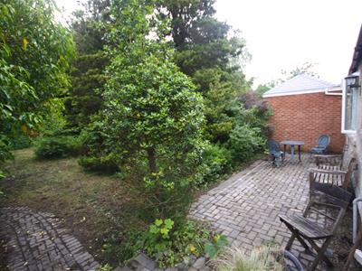 Picture 26